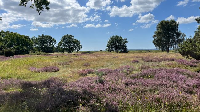 Telefonstien 46,  Ulvshale